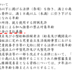 【年金問題】今後18歳の成人からも年金徴収を行い、年金支給は75歳からという日本の年金制度へ（自己準備で年金プラスアルファ形成を！）